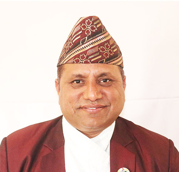 भीम पराजुली